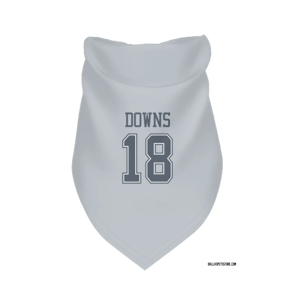 Dallas Cowboys Caleb Downs Gray Pet Bandana for Dog & Cat