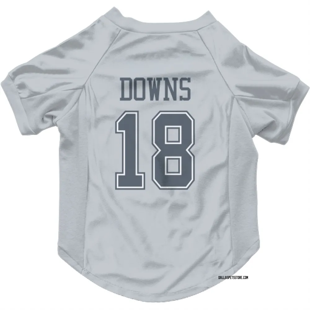 Dallas Cowboys Caleb Downs Gray Pet Jersey for Dog & Cat