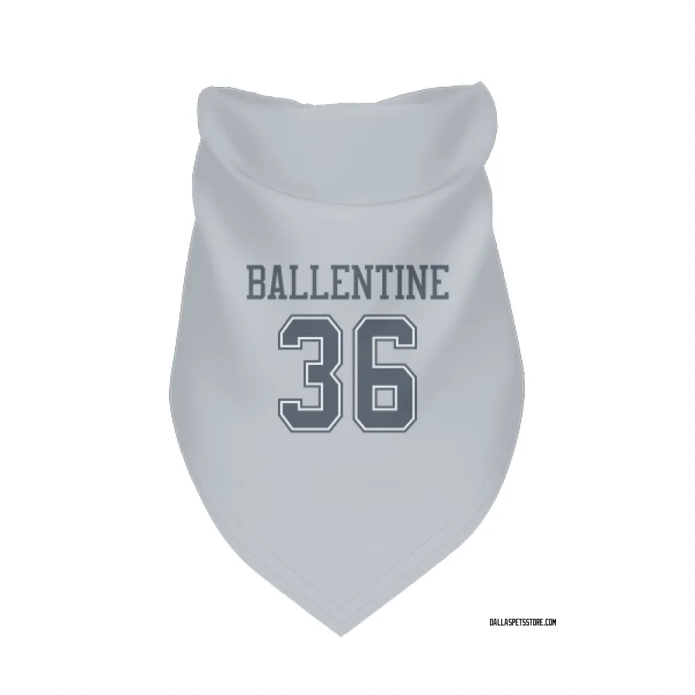 Dallas Cowboys Corey Ballentine Gray Pet Bandana for Dog & Cat