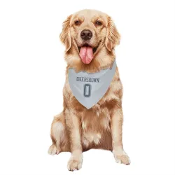 Dallas Cowboys DeMarvion Overshown Gray Pet Bandana for Dog & Cat
