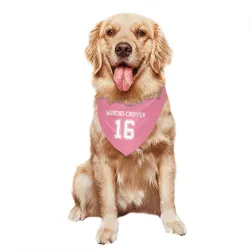 Dallas Cowboys Jalen Moreno-Cropper Pink Pet Bandana for Dog & Cat