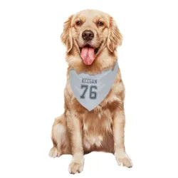 Dallas Cowboys Trevor Keegan Gray Pet Bandana for Dog & Cat